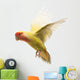 Rosy-faced Lovebird Flying Agapornis Wall Decal
