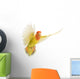 Portrait Rosy-faced Lovebird Flying Wall Decal