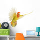 Portrait Rosy-faced Lovebird Flying Wall Decal