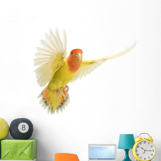 Portrait Rosy-faced Lovebird Flying Wall Decal