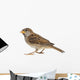House Sparrow against White Wall Decal