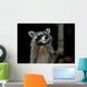 Racoon Greeting