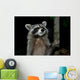 Racoon Greeting