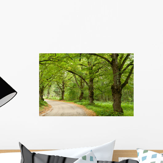 Green Nature Path Wall Mural