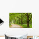 Green Nature Path Wall Mural