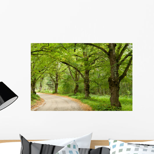 Green Nature Path Wall Mural