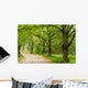 Green Nature Path Wall Mural