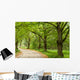 Green Nature Path Wall Mural
