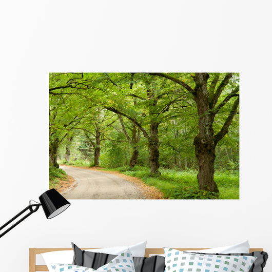 Green Nature Path Wall Mural