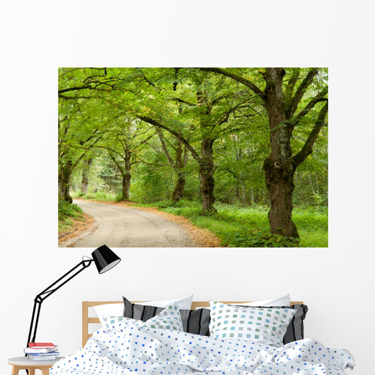 Green Nature Path Wall Mural