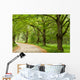 Green Nature Path Wall Mural