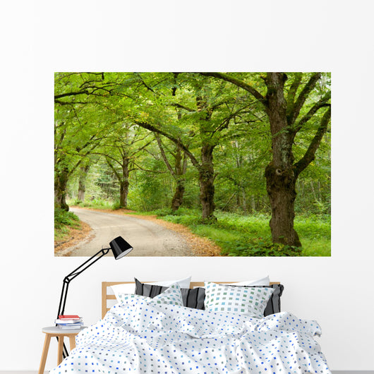 Green Nature Path Wall Mural