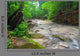 Rough River