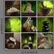 Spa Theme Mix