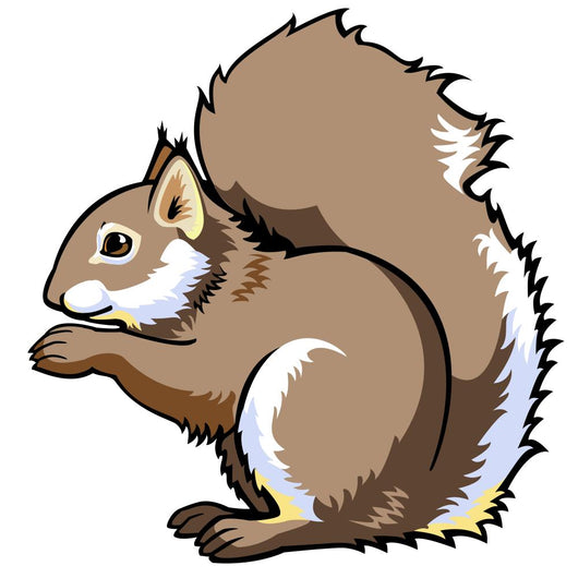Sitting Squirrel on White Wall Decal