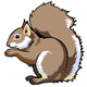 Sitting Squirrel on White Wall Decal