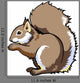 Sitting Squirrel on White Wall Decal
