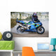 motorcyclist and the motorcycle Wall Mural