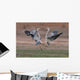 Wild Grey Herons Fighting Wall Mural