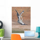 Fighting Grey Herons Wall Mural