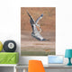 Fighting Grey Herons Wall Mural