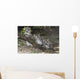 Snow leopard (Uncia uncia) cubs Wall Mural