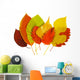 Colorful Autumn Leaves