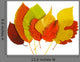 Colorful Autumn Leaves