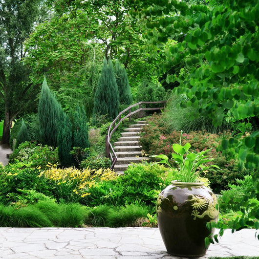 Cozy Park