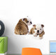 english Bulldog puppy Wall Decal