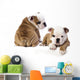 english Bulldog puppy Wall Decal