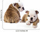 english Bulldog puppy Wall Decal