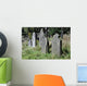 Gravestones