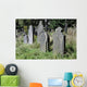 Gravestones