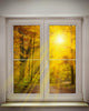 Autumn Views