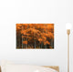 Deciduous Aspen Forest In Fall Wall Mural