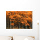 Deciduous Aspen Forest In Fall Wall Mural