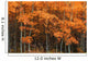 Deciduous Aspen Forest In Fall Wall Mural