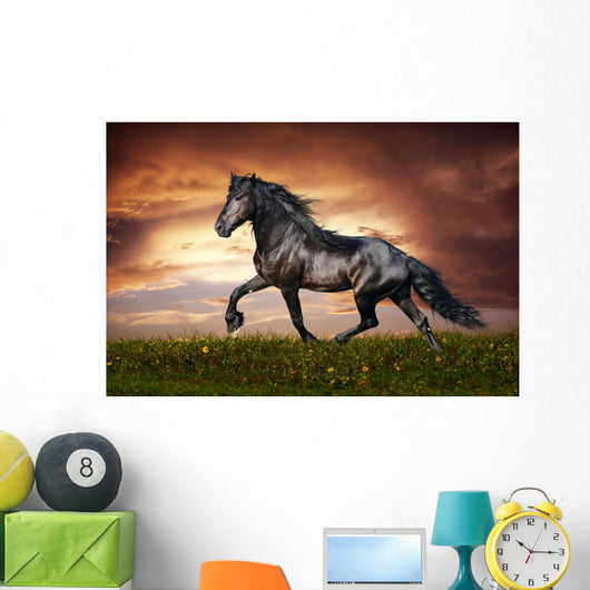 Black Friesian Horse Trot
