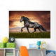 Black Friesian Horse Trot