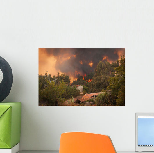 Forest Wild Fire near