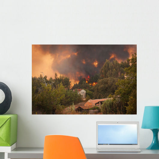 Forest Wild Fire near