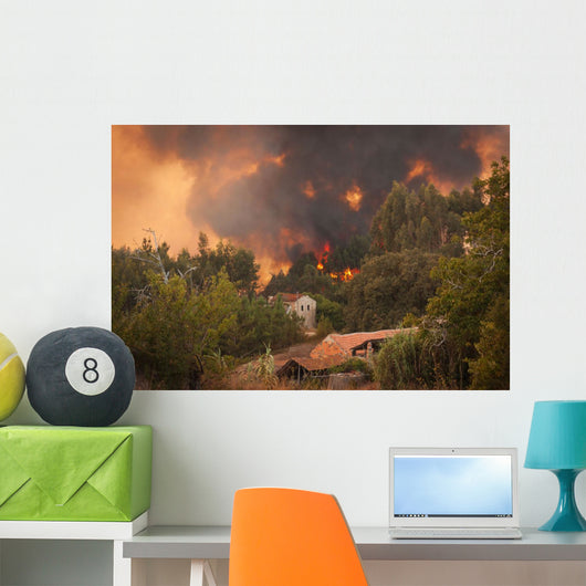 Forest Wild Fire near