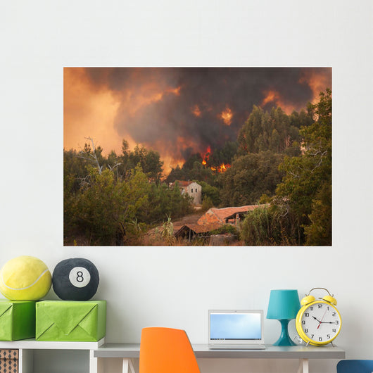 Forest Wild Fire near