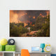 Forest Wild Fire near