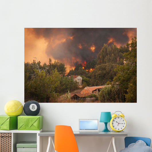 Forest Wild Fire near