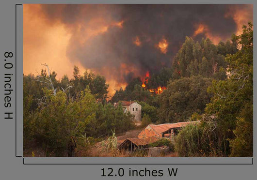 Forest Wild Fire near