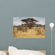 Landscape Savannah Kenya