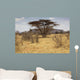 Landscape Savannah Kenya