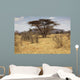 Landscape Savannah Kenya